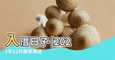 2023入宅安床吉日吉時|黃道吉日查詢，老黃歷結婚吉日查詢，搬家吉日查詢